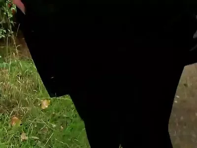 Black haire asian quero ver vídeo pornô de mulher nua fazendo um boquete profundo