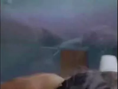 Terrence e Alice filme de pornô pelada
